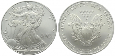 USA 1 Dollar 2007 Silver Eagle - 1 Unze Feinsilber